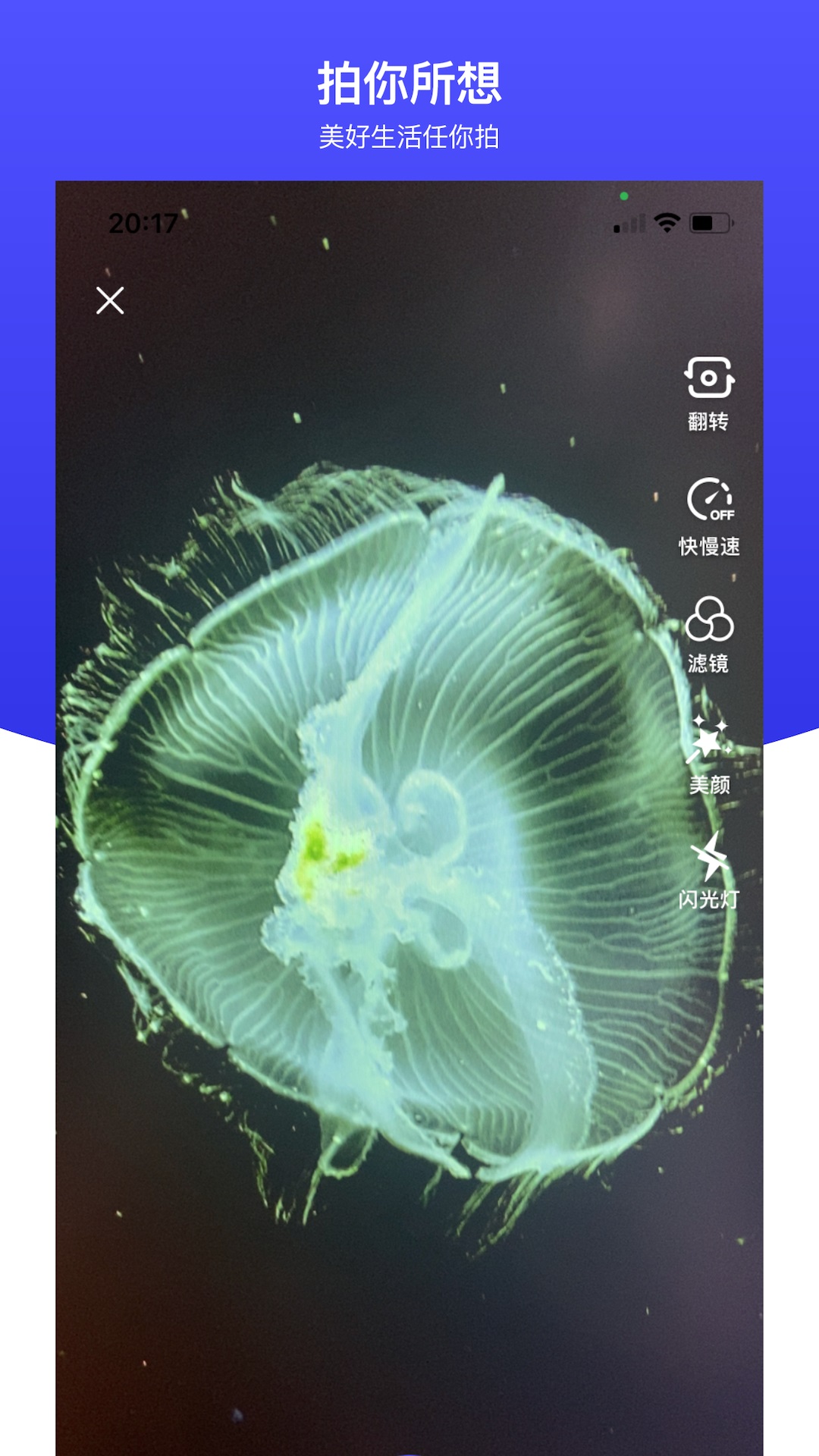 世子播播