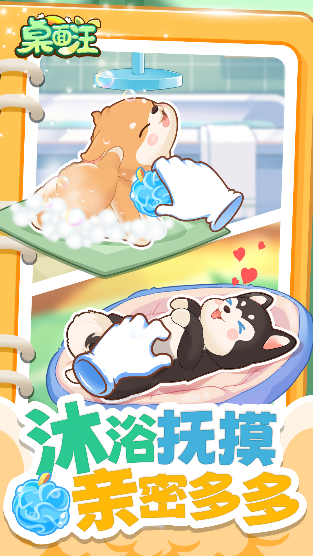 桌面汪截图3
