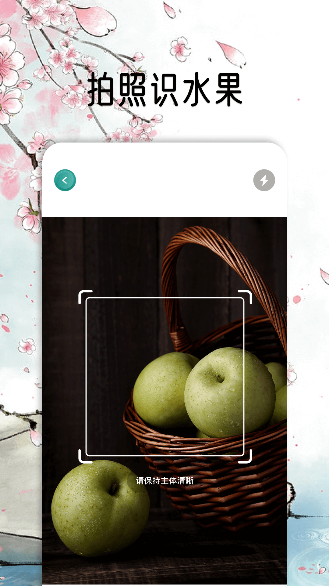 花草秒识别截图4