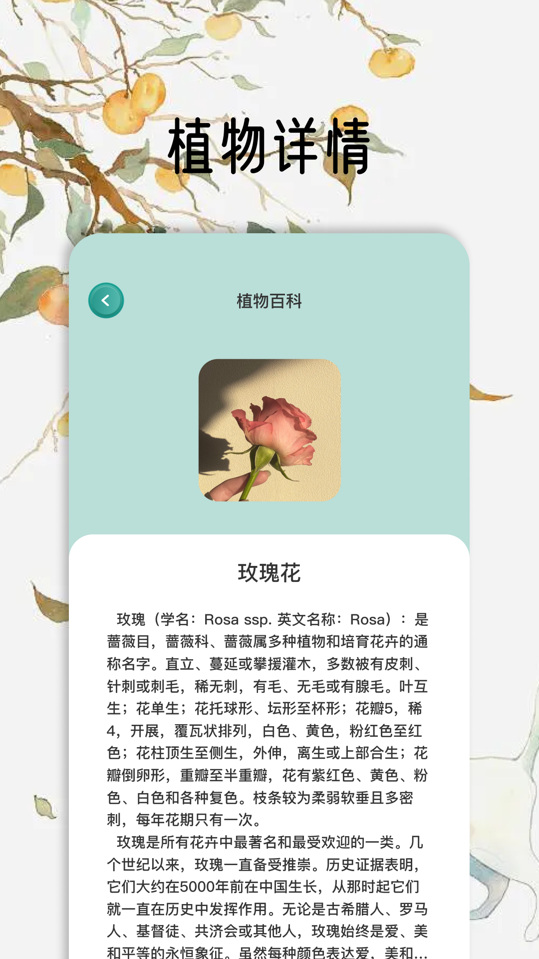 花草秒识别截图3