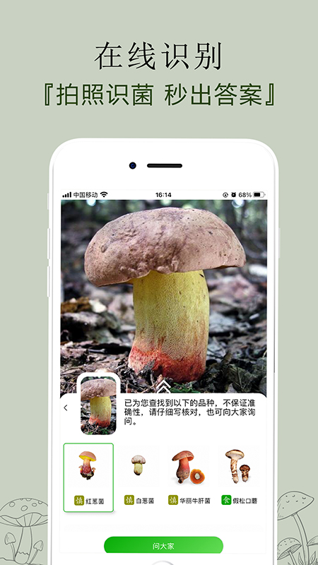菌窝子截图1