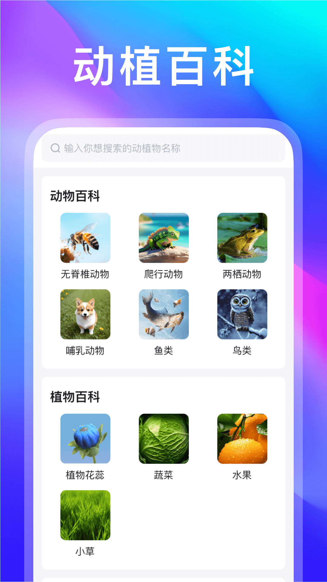 动物世界截图2