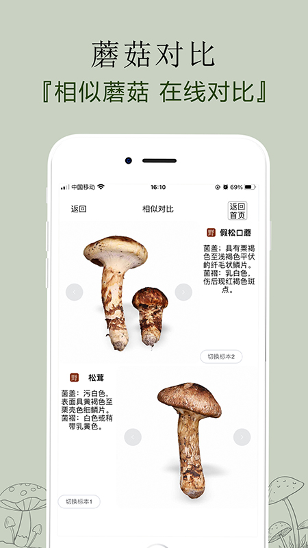 菌窝子截图4