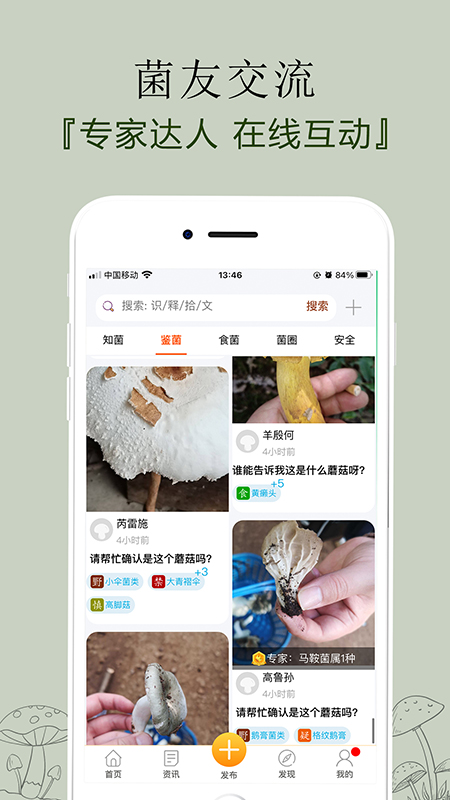 菌窝子截图2