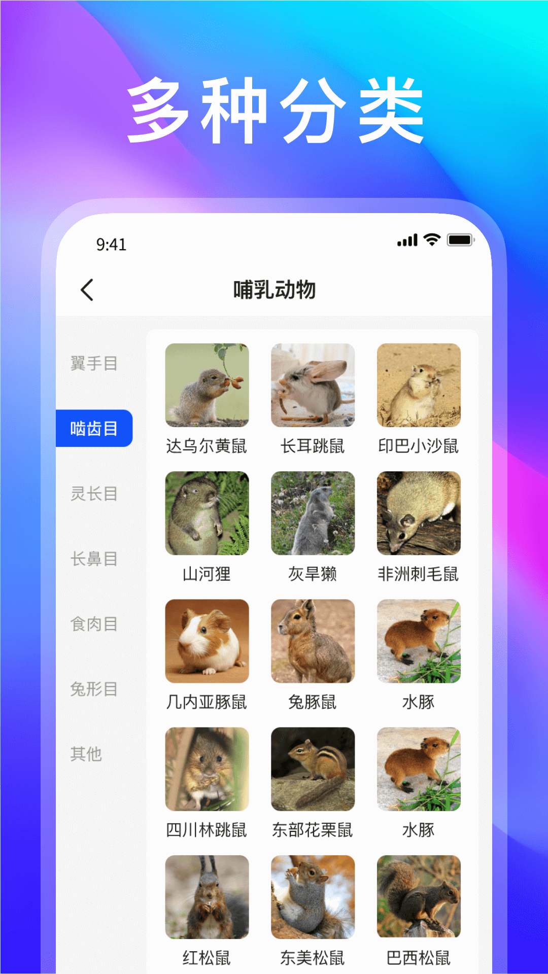 动物世界截图1