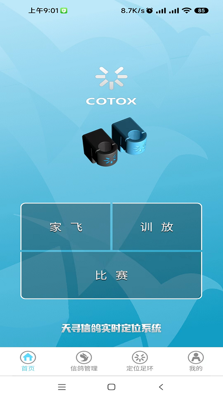 天寻信鸽比赛截图1