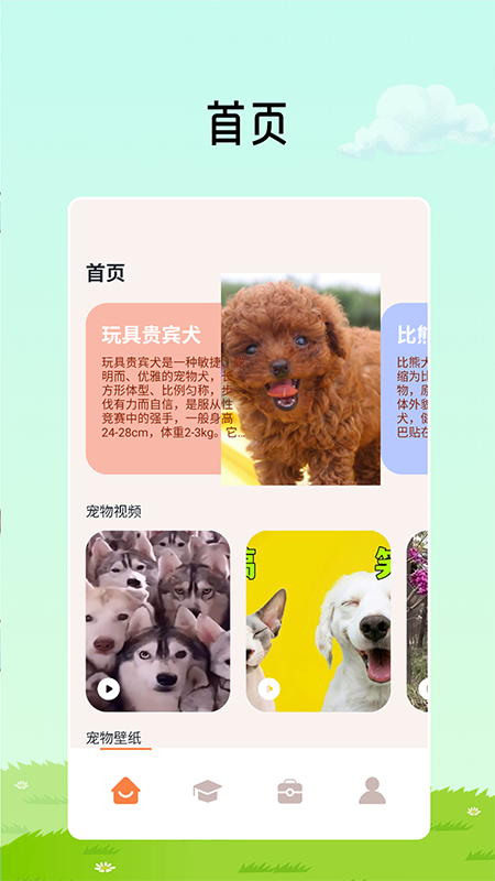 猫咪解压馆截图1