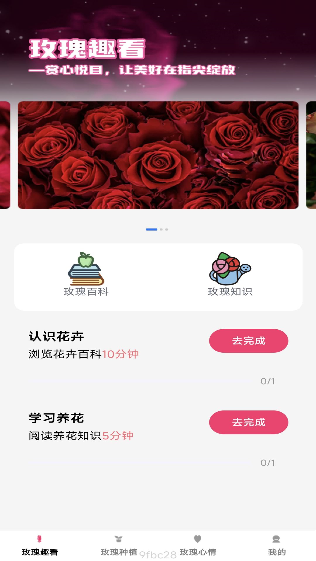 趣看玫瑰截图1