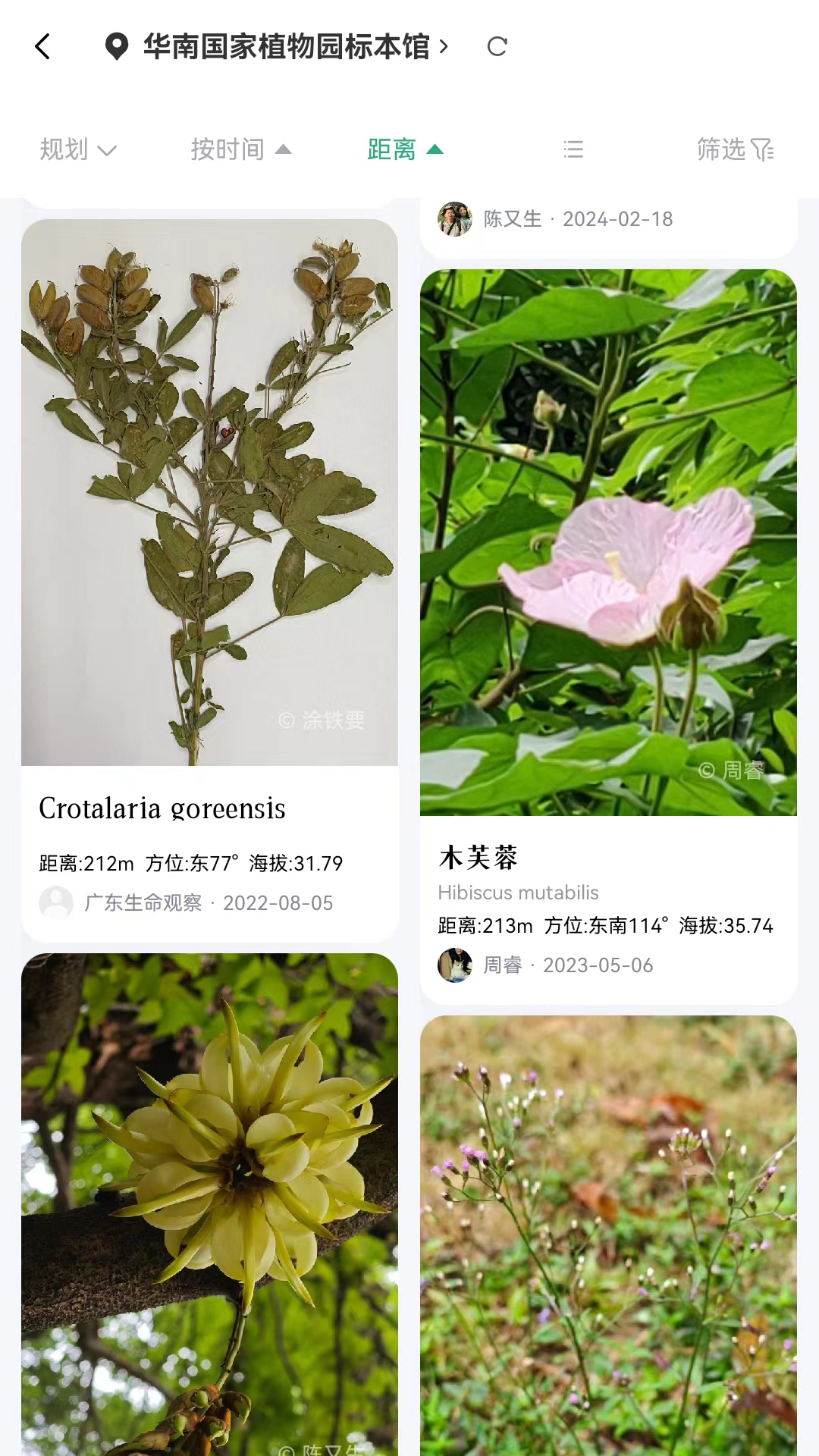 生命网格截图2