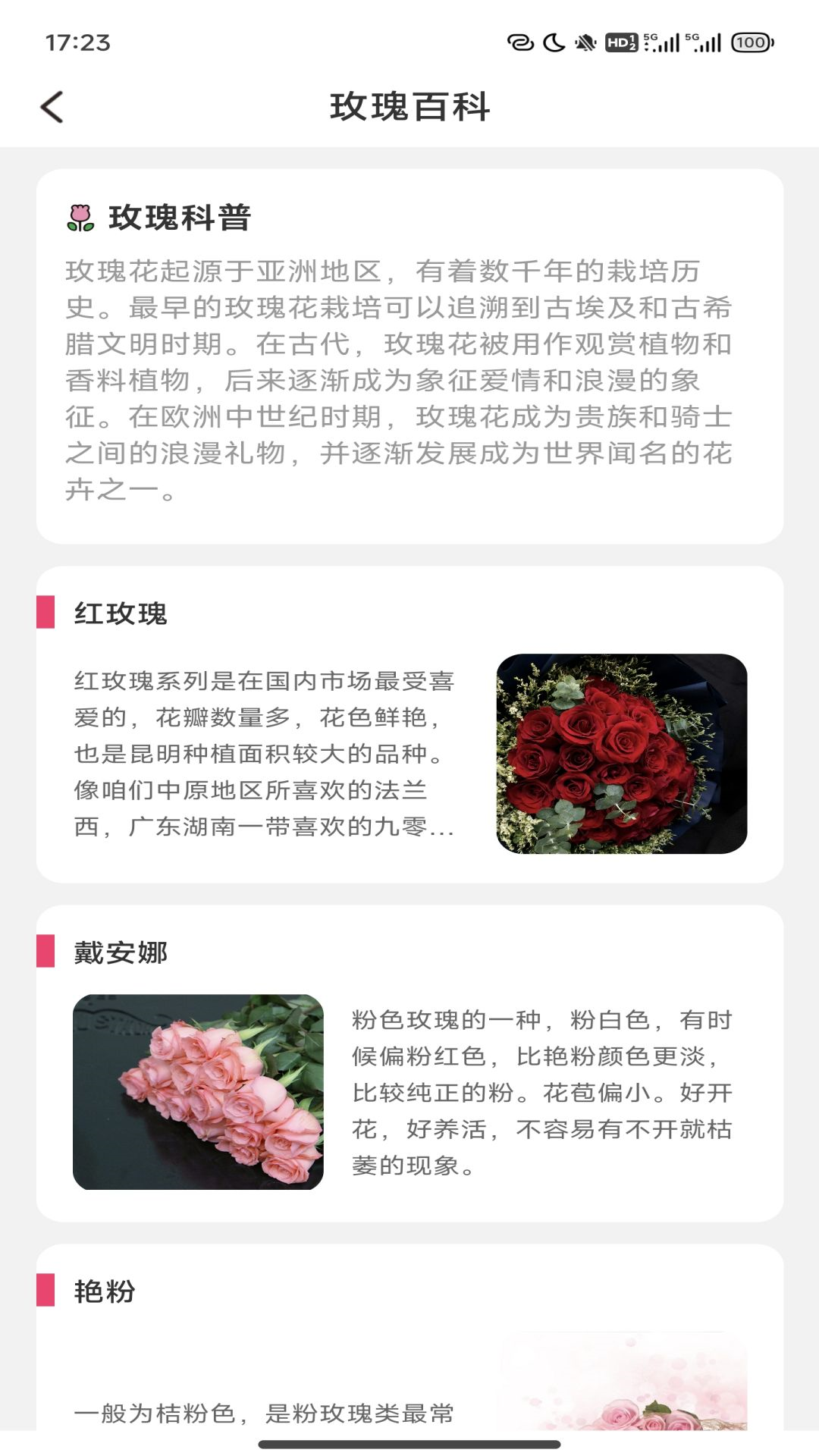趣看玫瑰截图2
