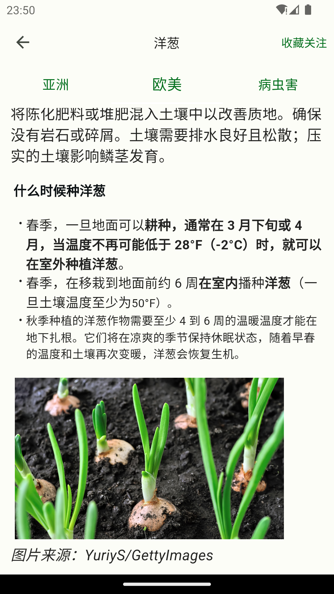 鱼菜记截图3