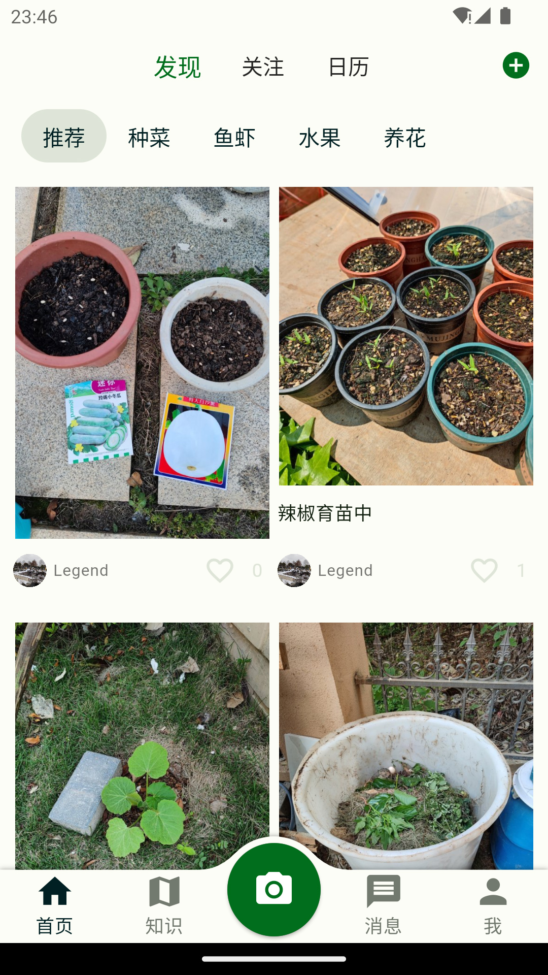鱼菜记截图1
