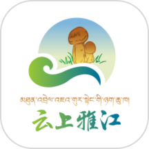 云上雅江