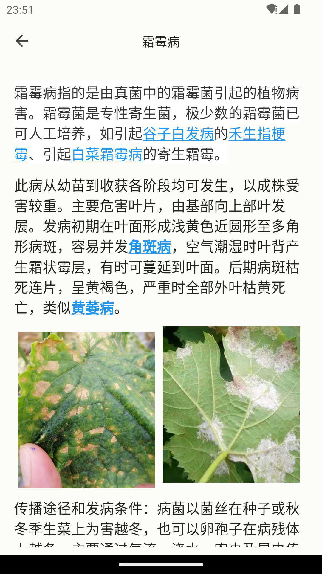 鱼菜记截图4