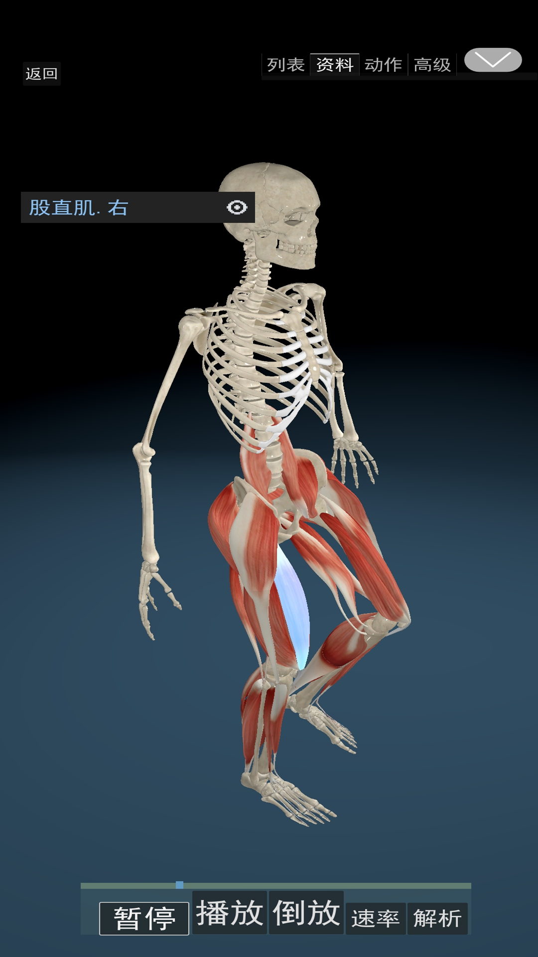 3d运动解剖截图3