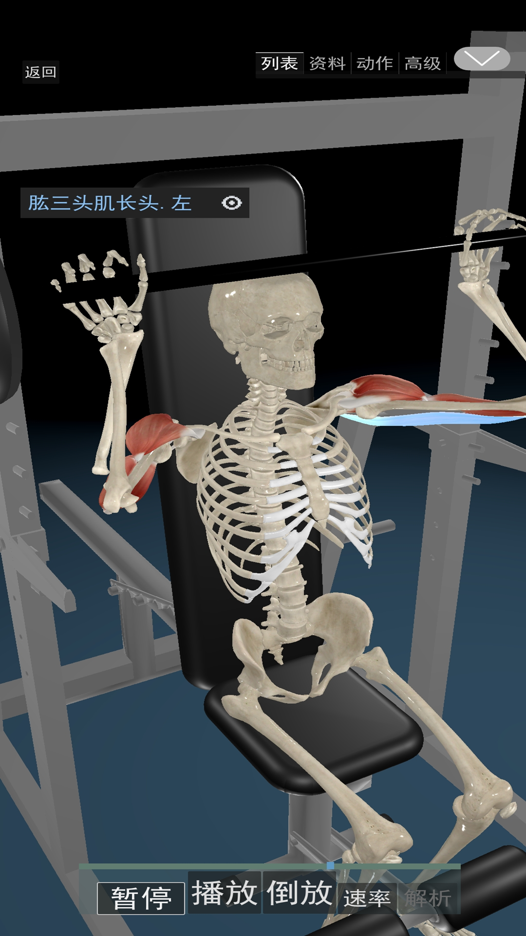 3d运动解剖截图2