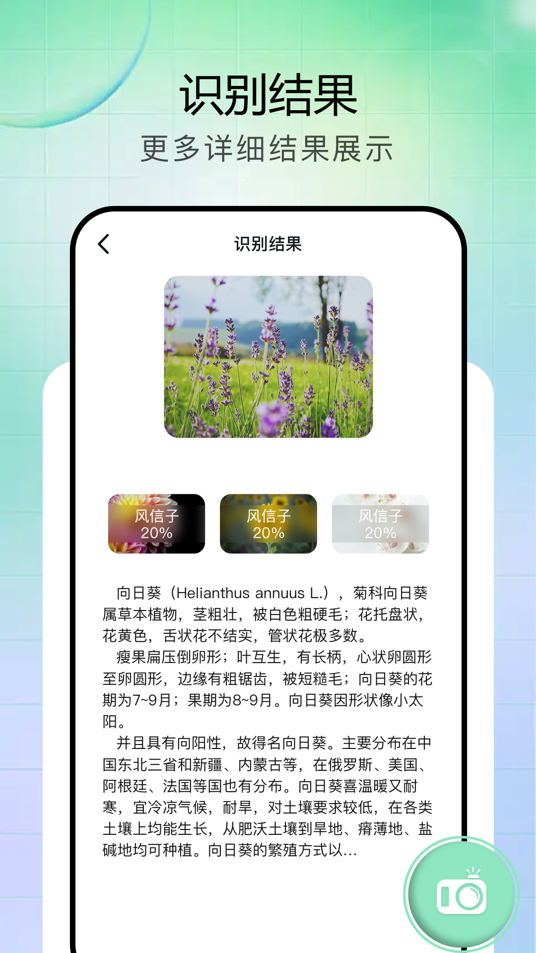 vflat扫描仪
