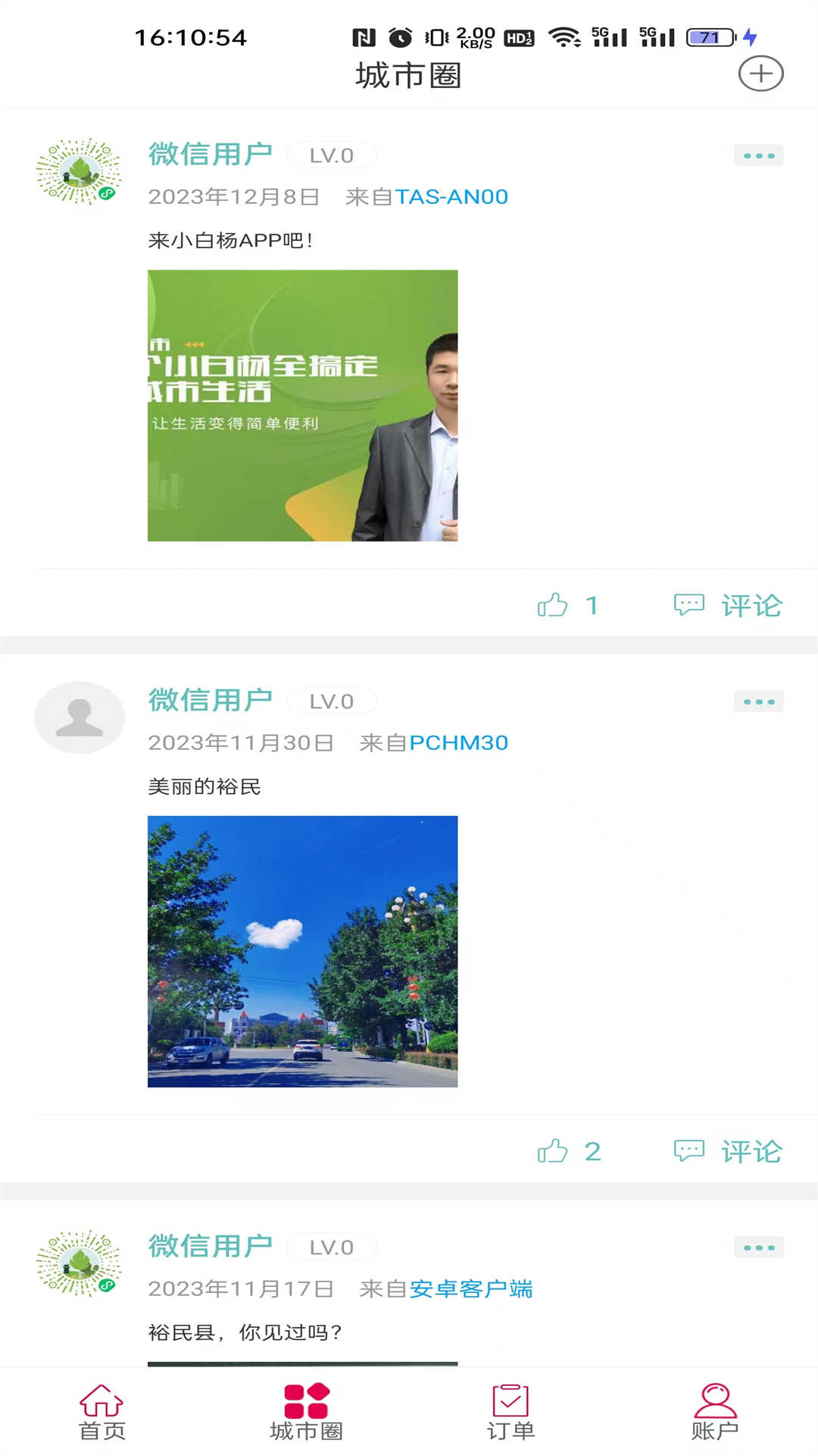 小白杨截图3