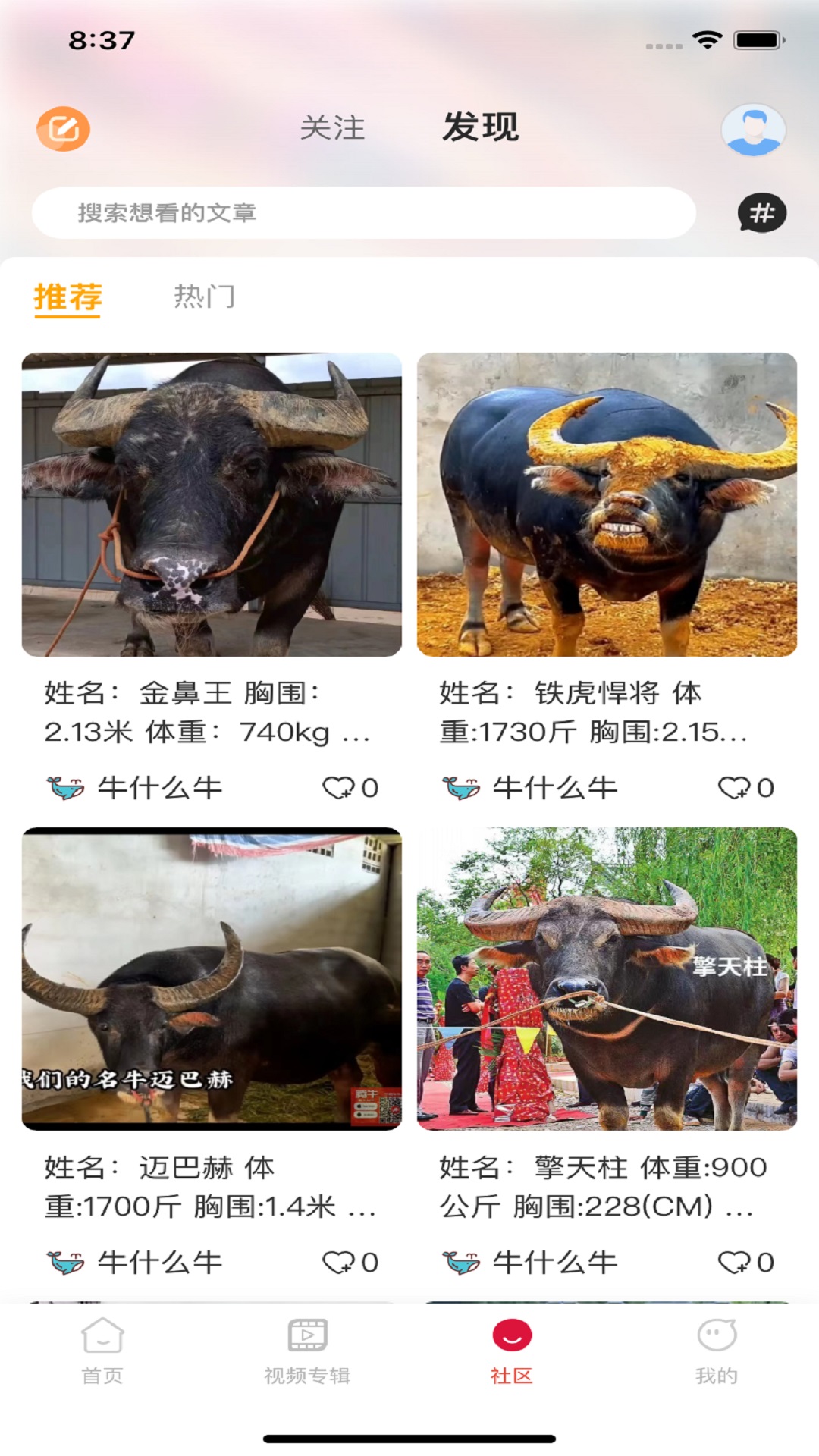 腾牛截图3