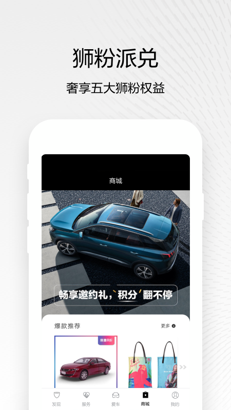 东风标致截图4