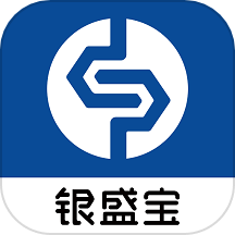 银盛宝