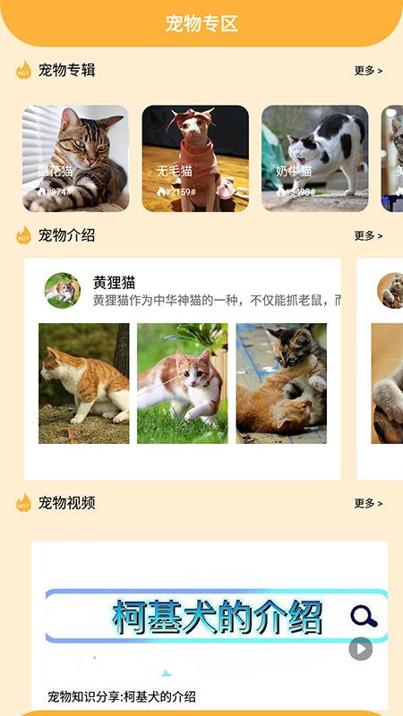 喵的工具箱