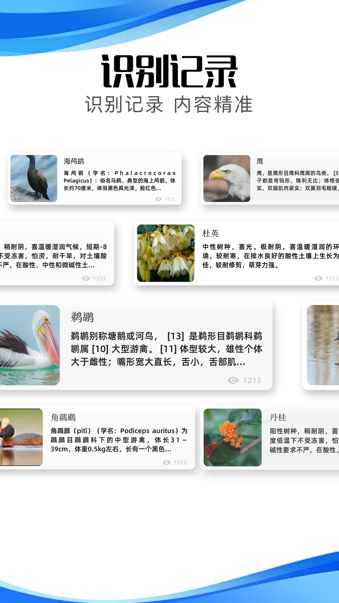 冷眸软件截图4