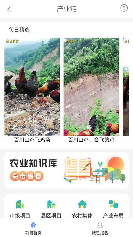 金色乡村截图1
