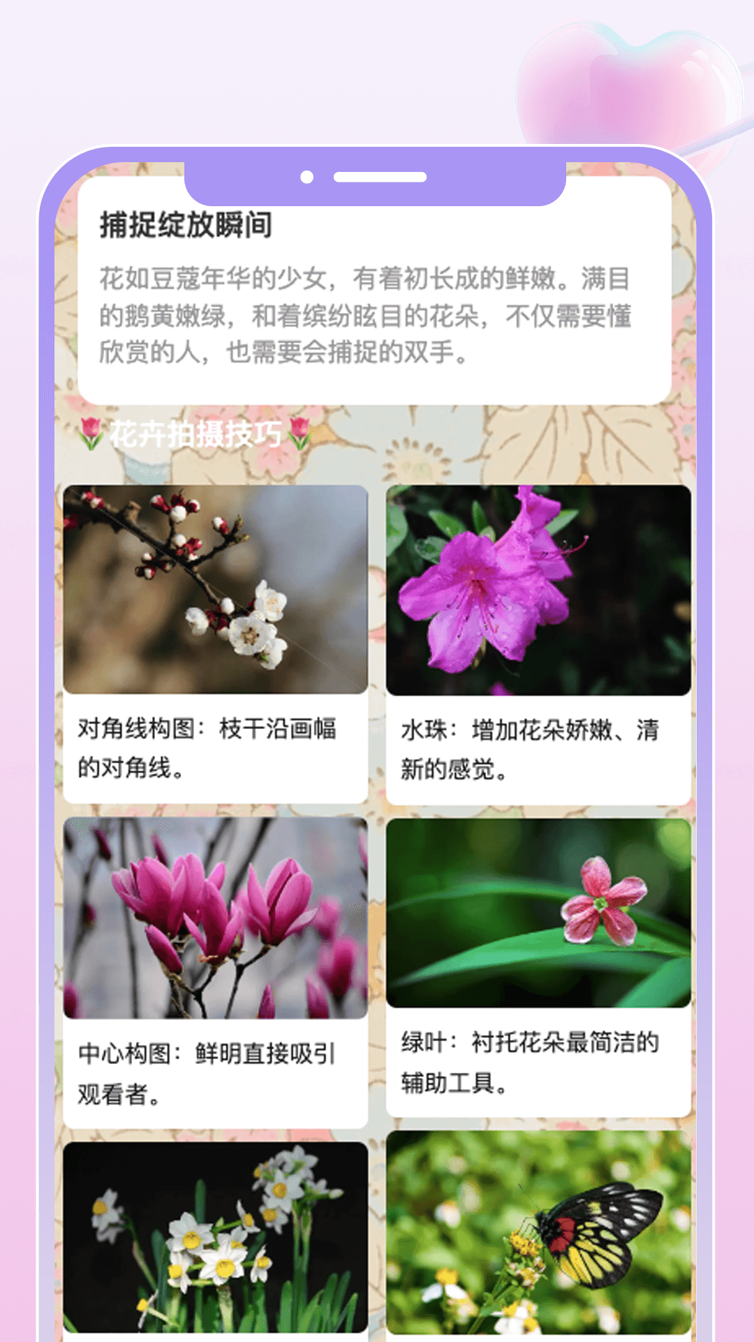 花汇趣看截图3