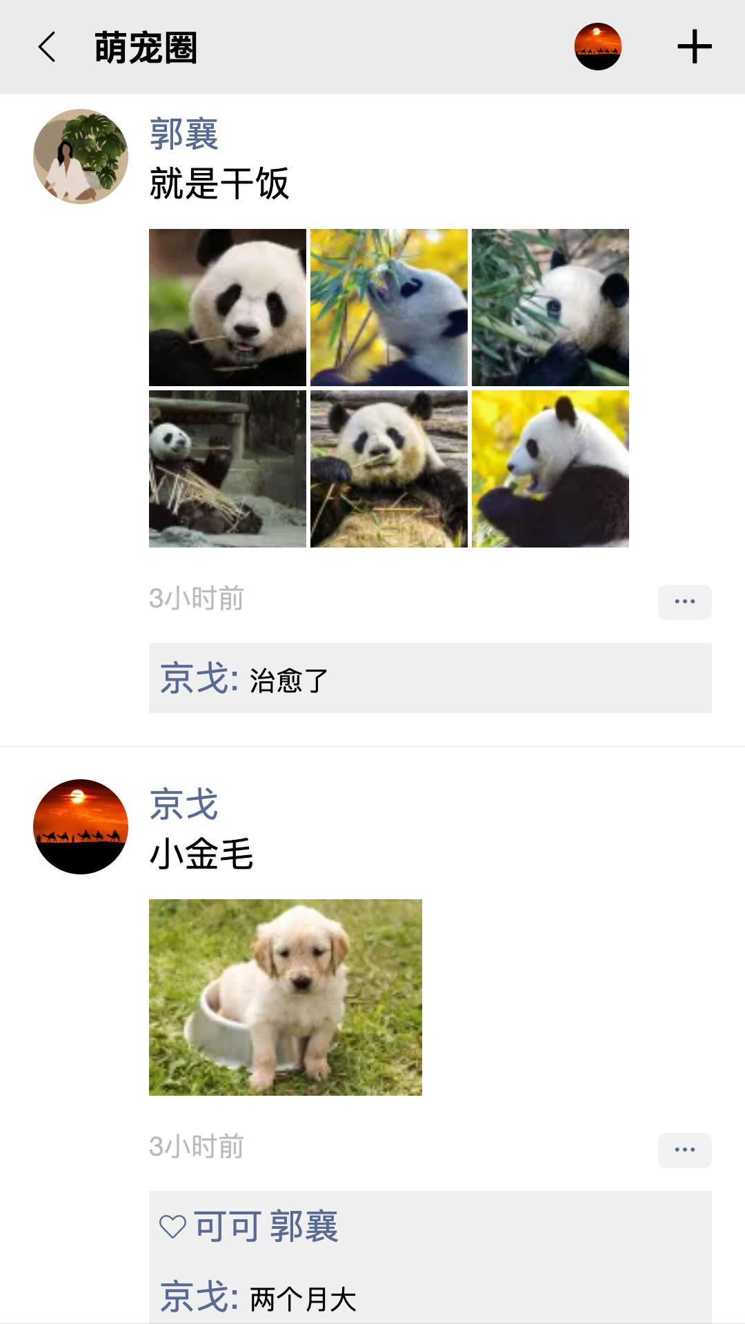 队信截图