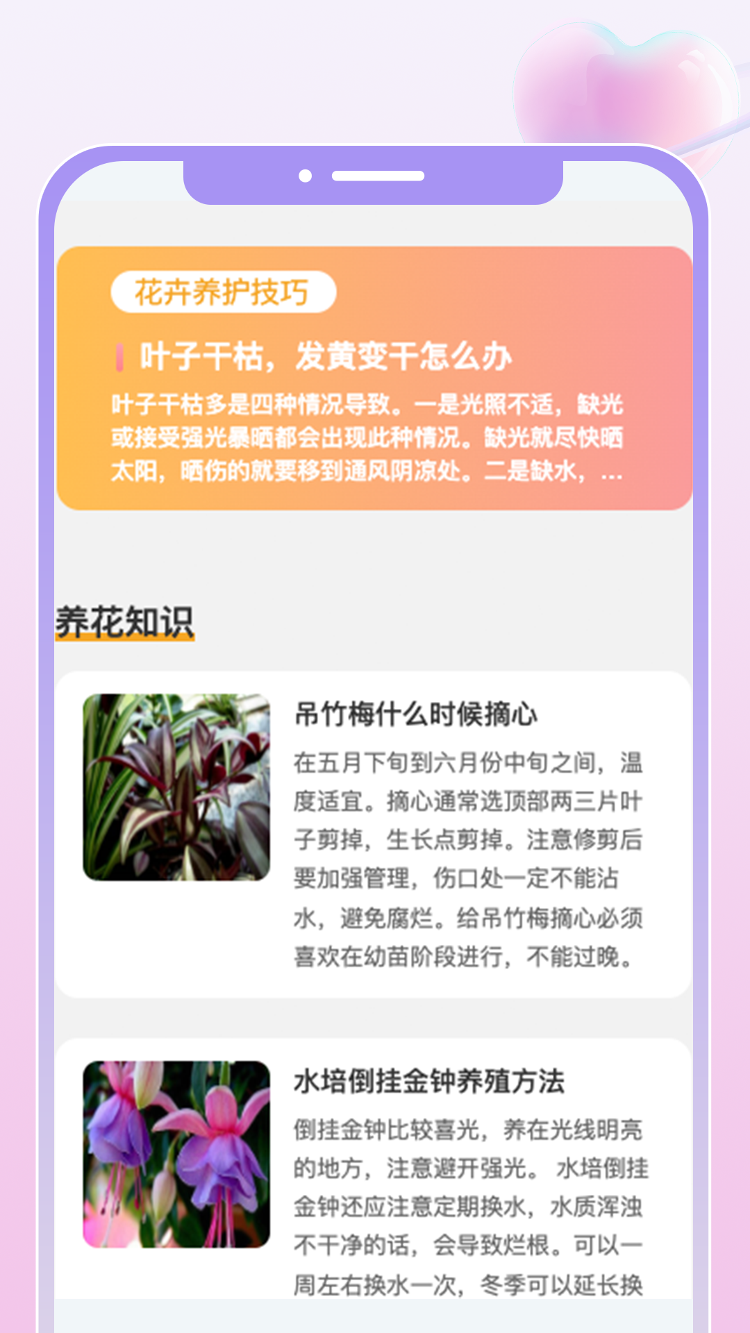 花汇趣看截图1