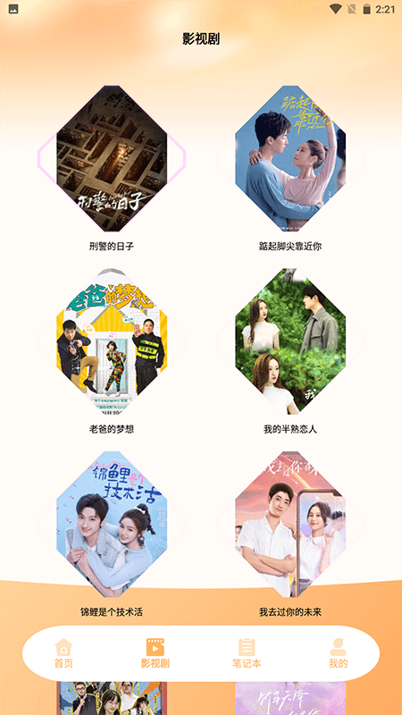 种子播放器截图2