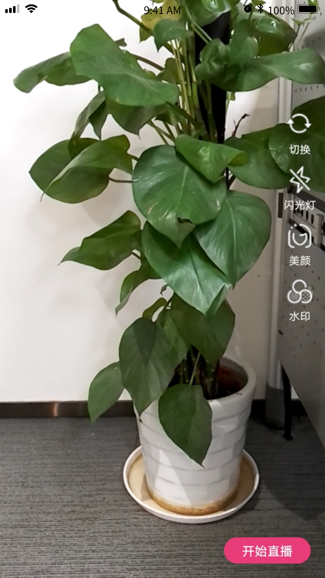 星云融媒截图3