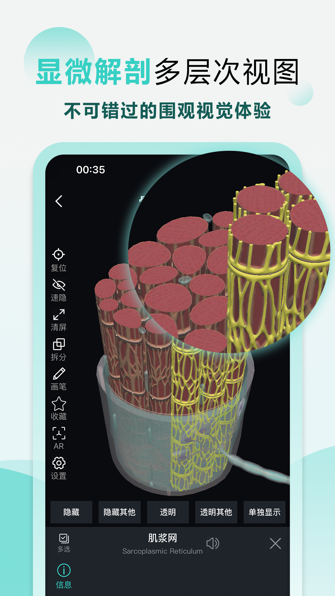 掌上3d解剖截图3