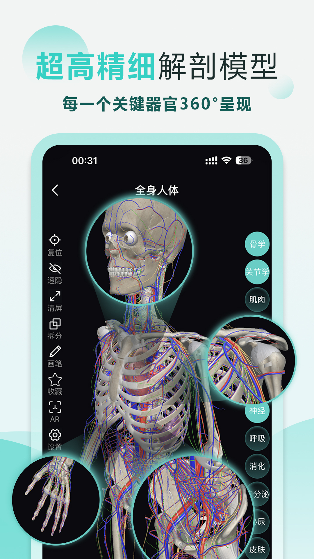 掌上3d解剖截图2