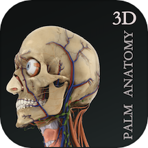 掌上3d解剖