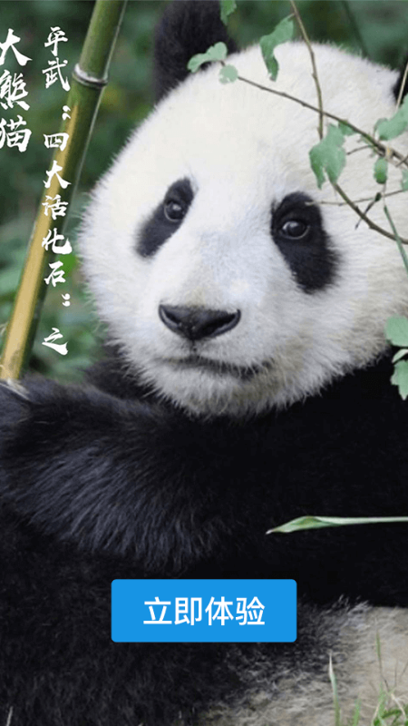直播平武截图1