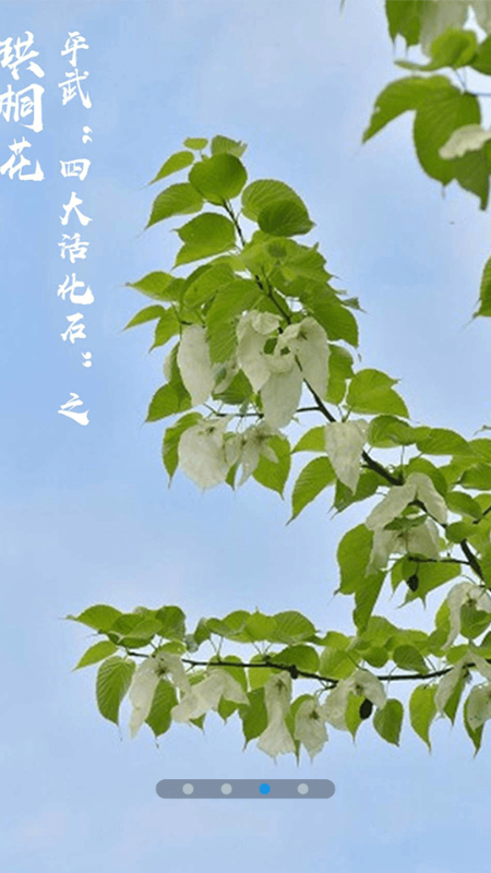 直播平武截图2