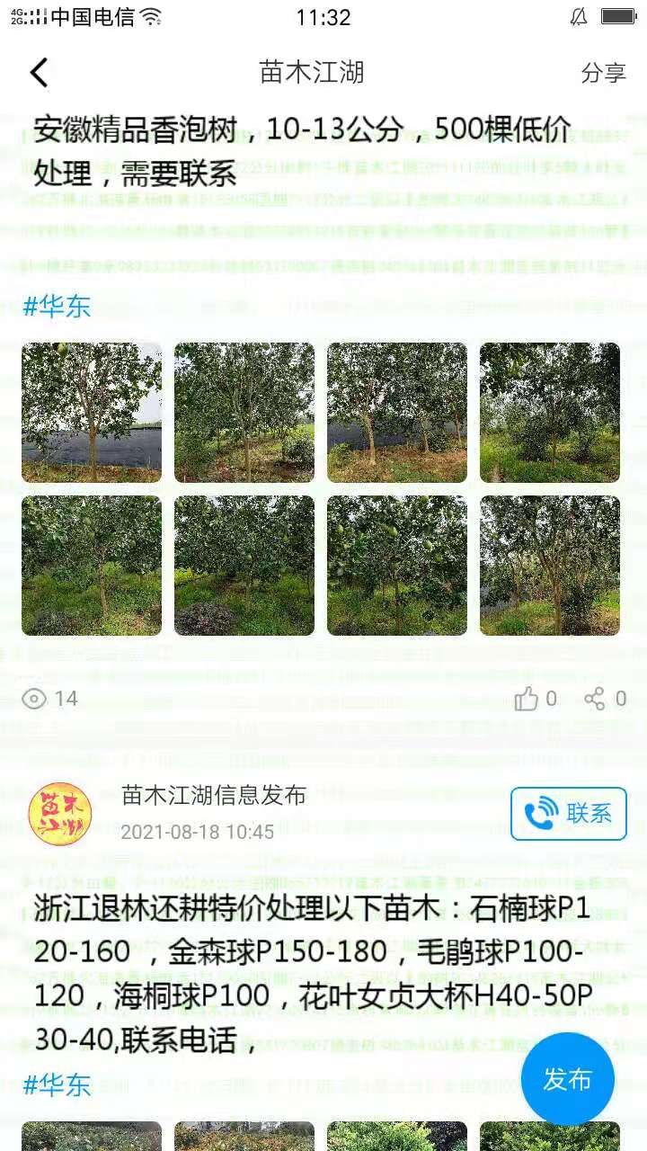 苗木江湖截图4