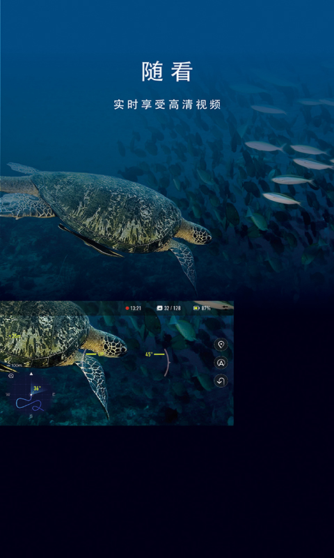 fifish