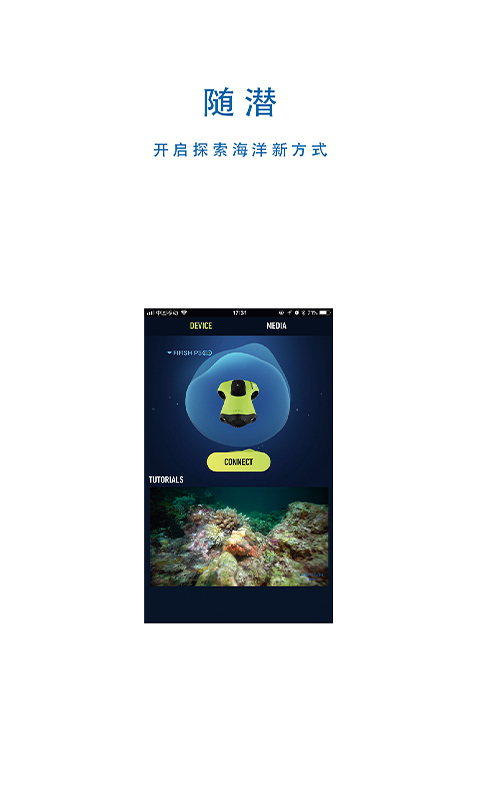 fifish