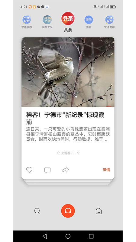 新宁德