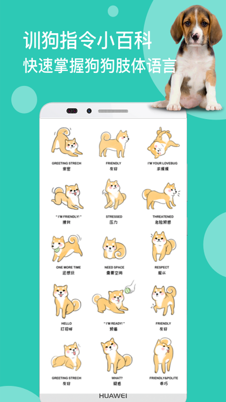 狗语翻译截图4