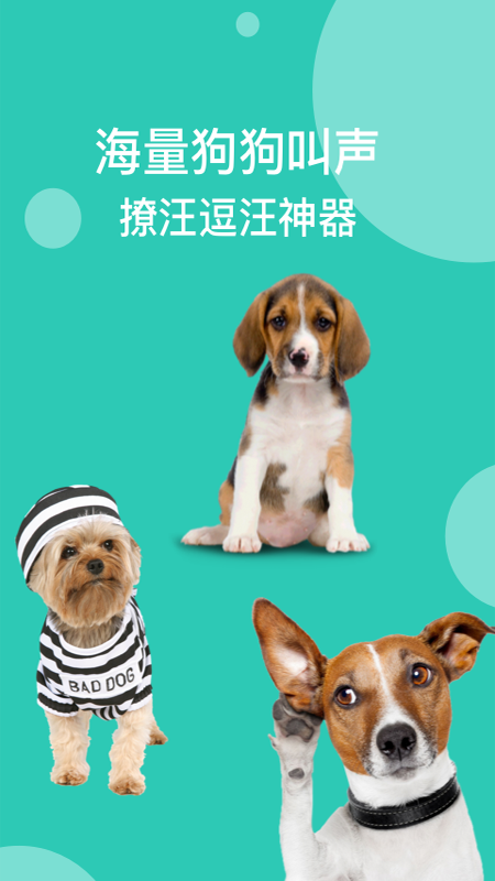 狗语翻译截图5