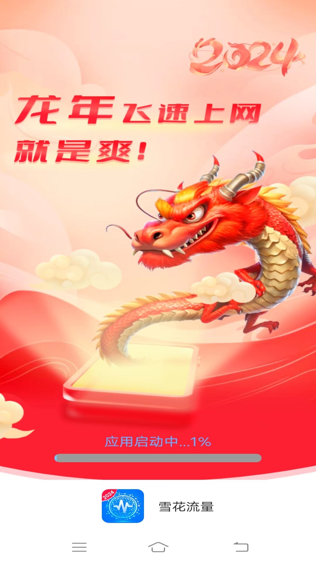雪花流量截图1