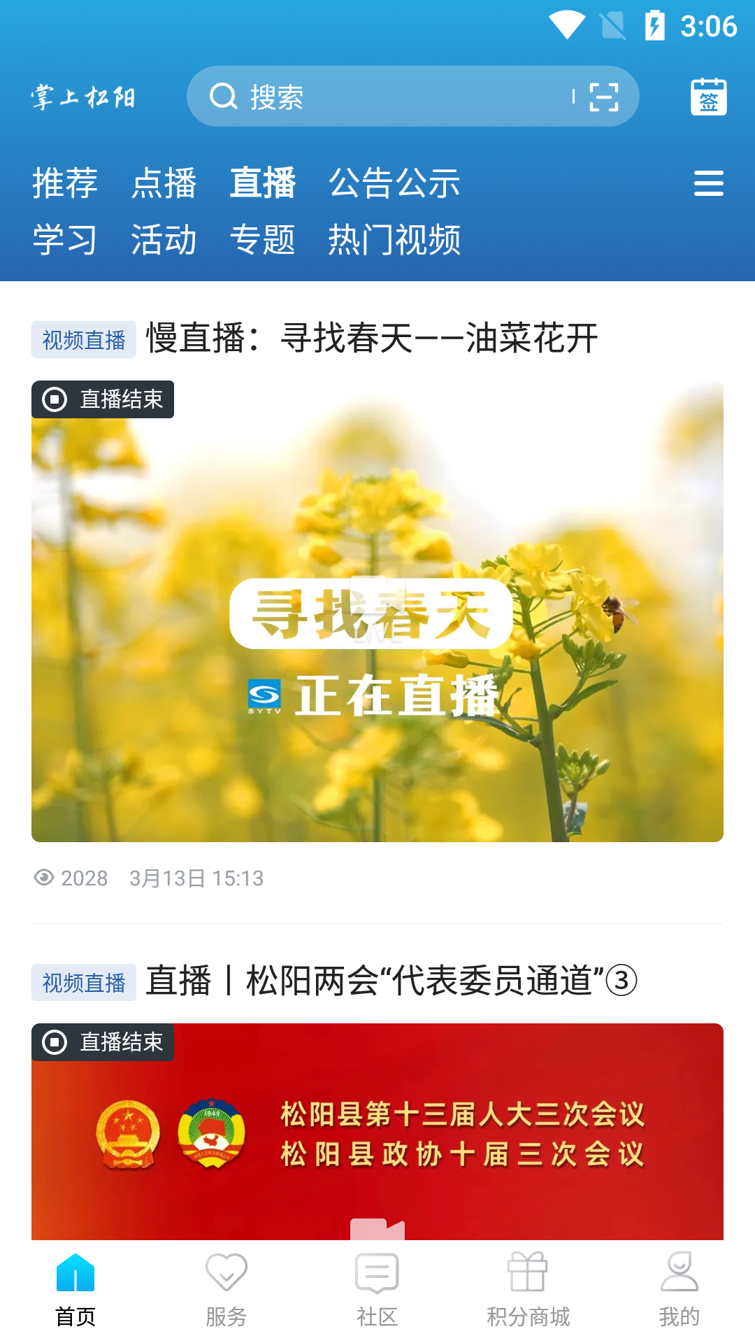 掌上松阳