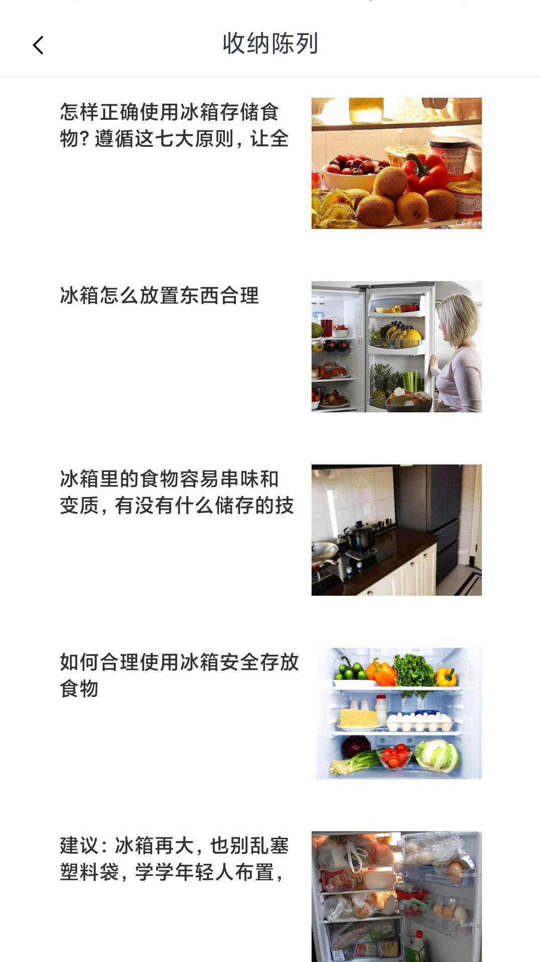 冰箱陈列收纳截图3