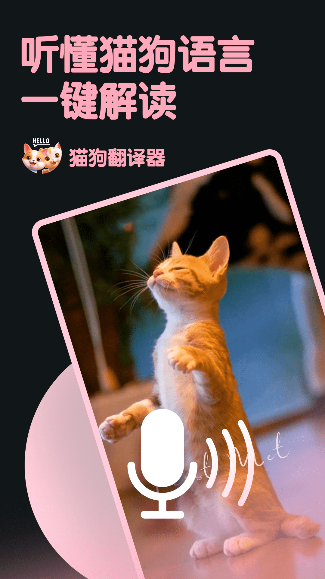 旺旺猫狗翻译器