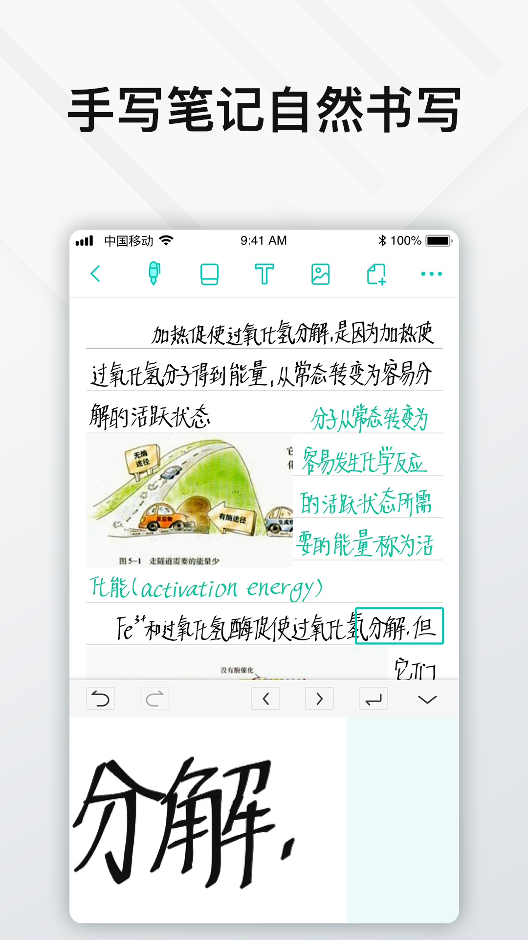 elfinbook易飞截图3