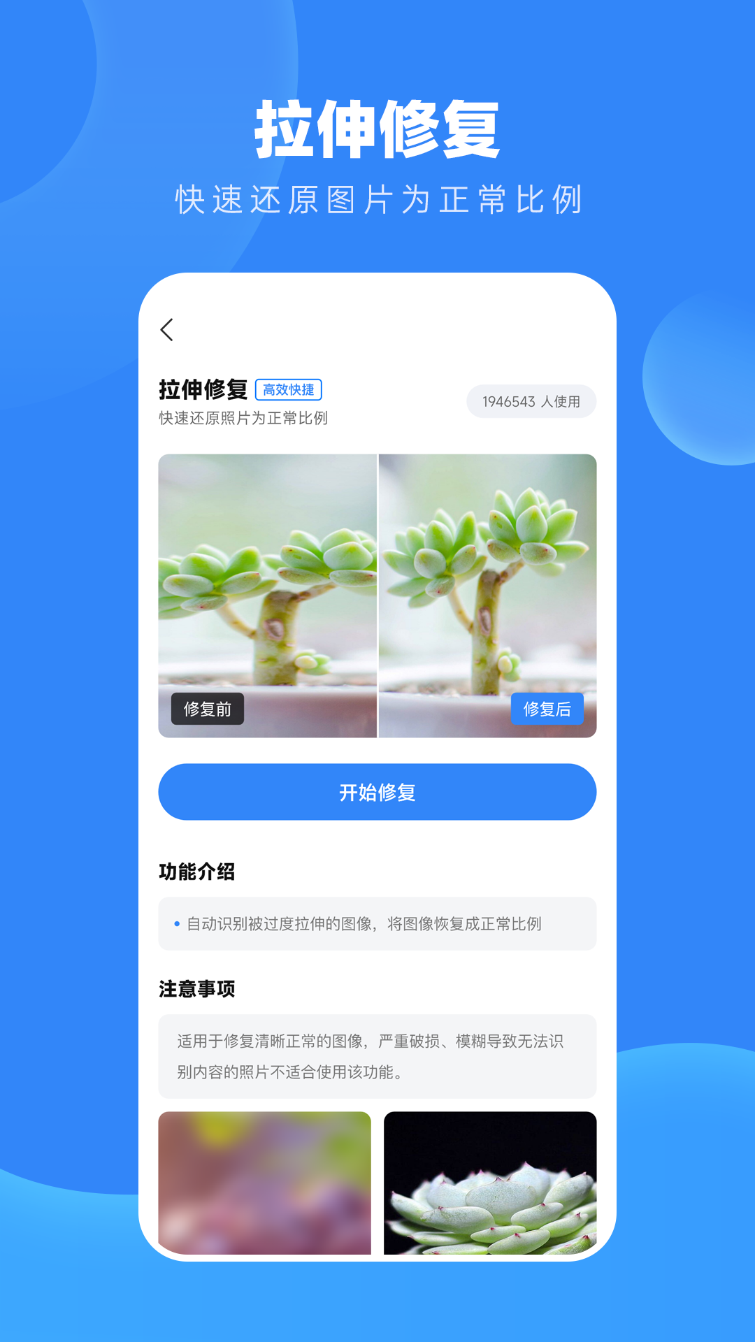 旧照高清修复截图4